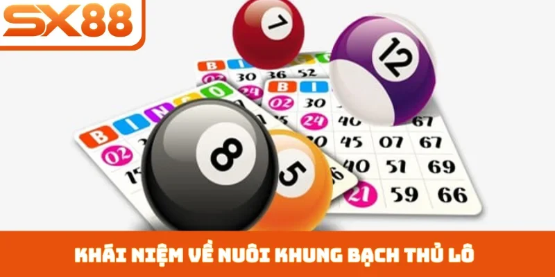 Khái niệm về nuôi khung bạch thủ lô