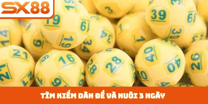 Tìm kiếm dàn đề và nuôi 3 ngày